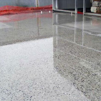 IMG_0005.jpg IMG_0005.jpg