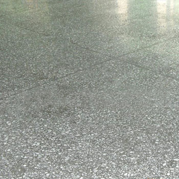 cms001656.jpg cms001656.jpg